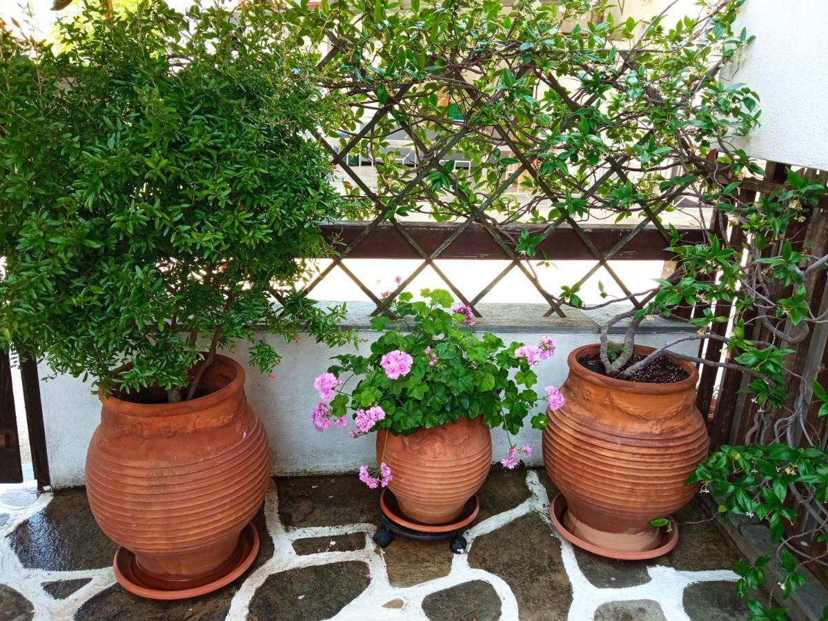 Marika House Daire Stavros  Dış mekan fotoğraf