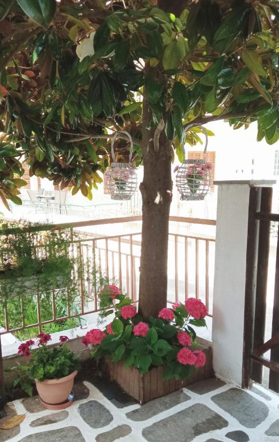 Marika House Daire Stavros  Dış mekan fotoğraf