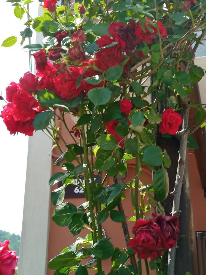 Marika House Daire Stavros  Dış mekan fotoğraf
